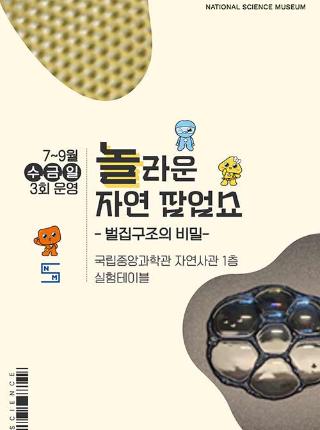 7~9월 수,금,일 운영 놀라운 자연 팝업쇼 벌집구조의 비밀 국립중앙과학관 자연사관1층 실험테이블
