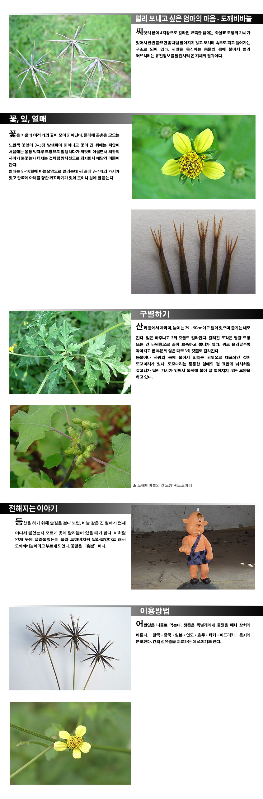 멀리 보내고 싶은 엄마의 마음-도깨비바늘