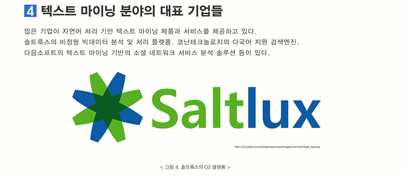 텍스트 마이닝 분야의 대표 기업들