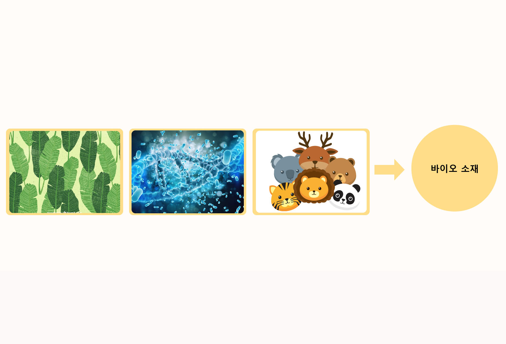 바이오 소재 이미지