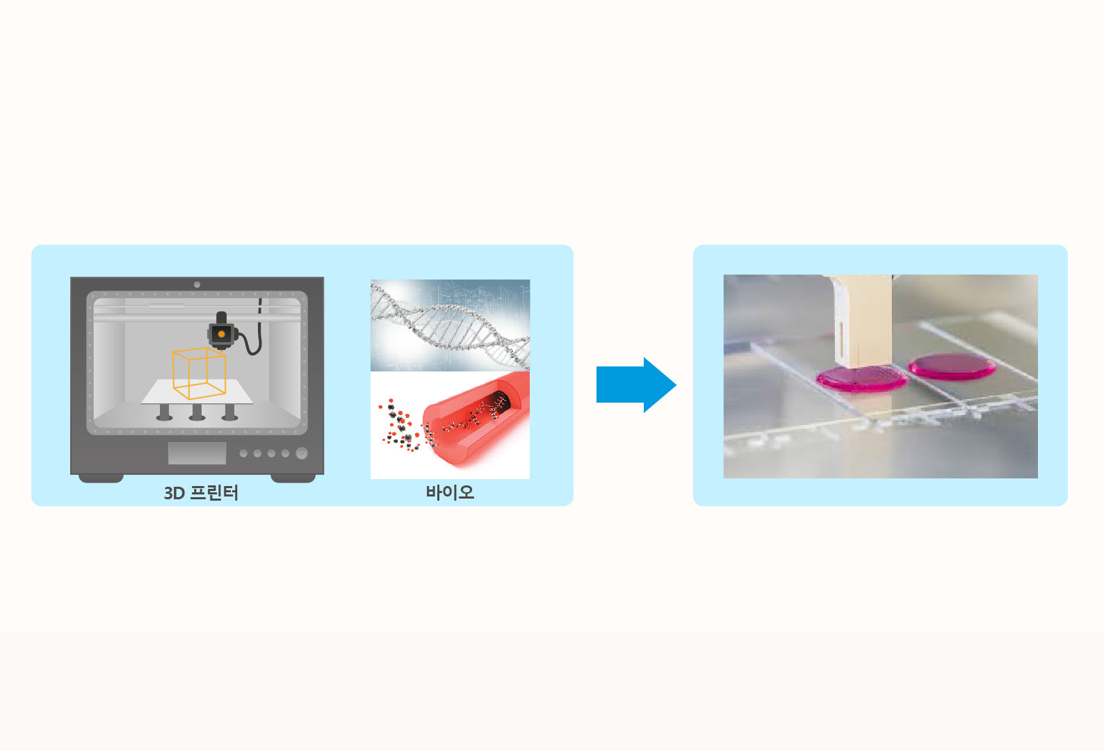 바이오 소재 이미지