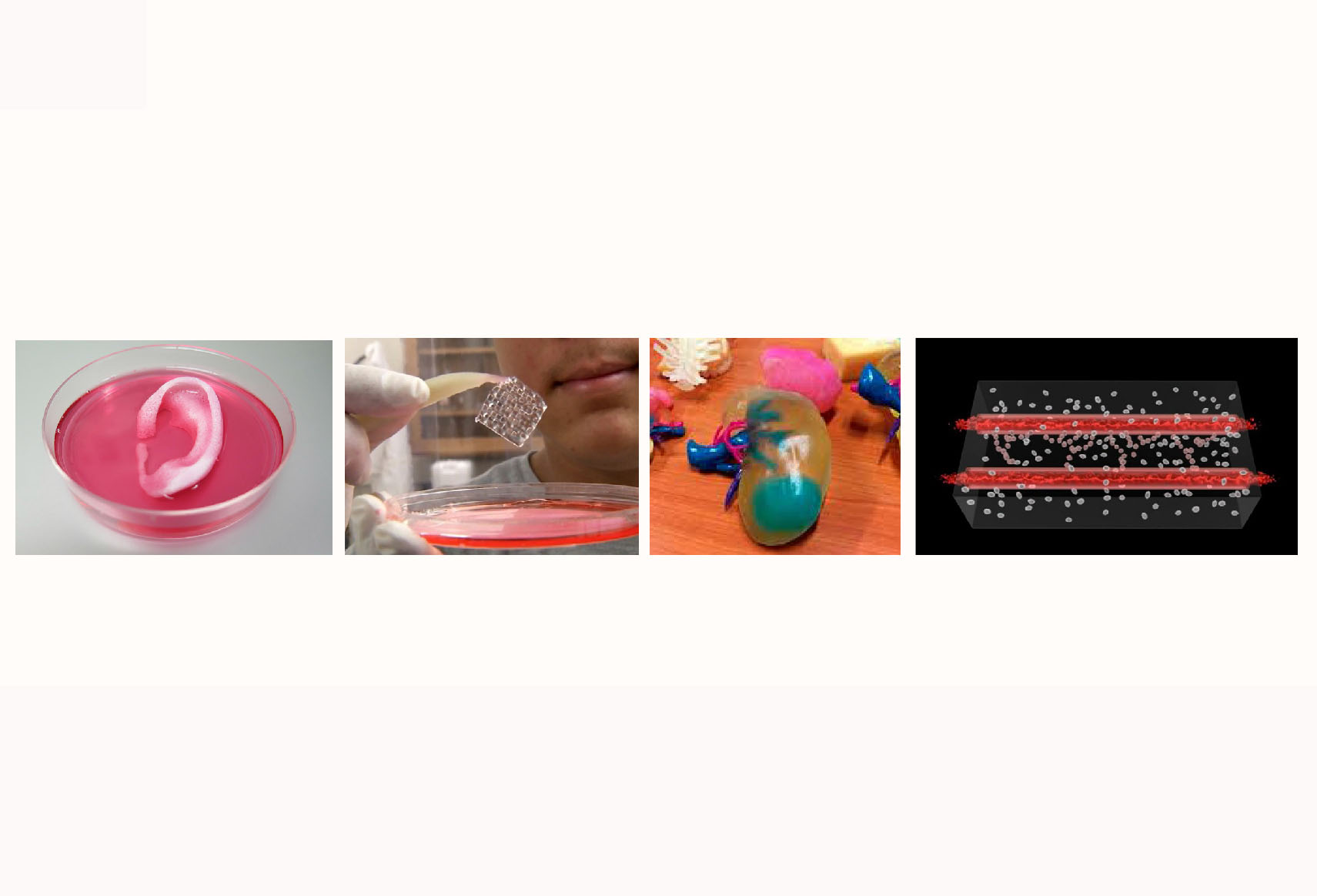 바이오 소재 이미지