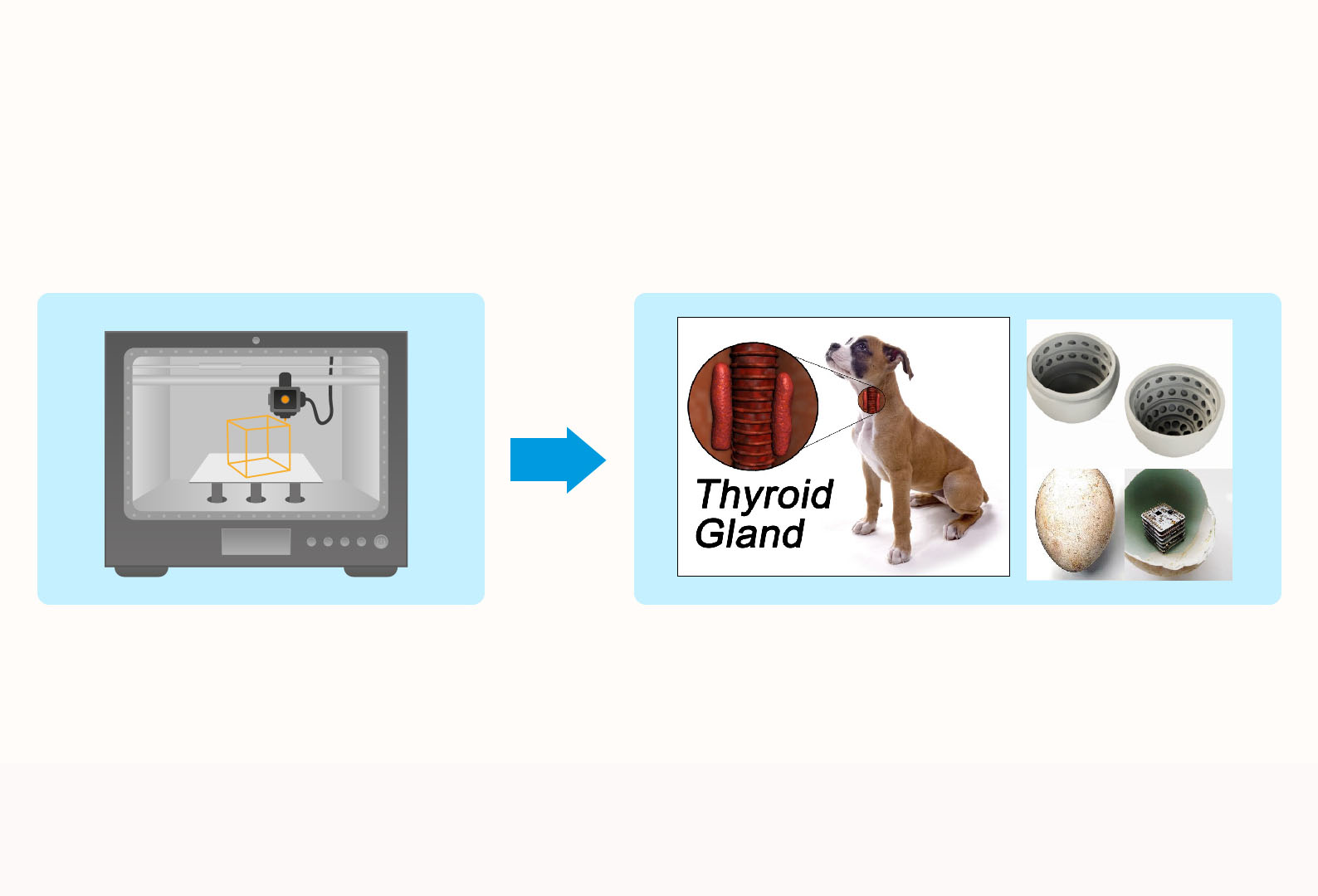바이오 소재 이미지