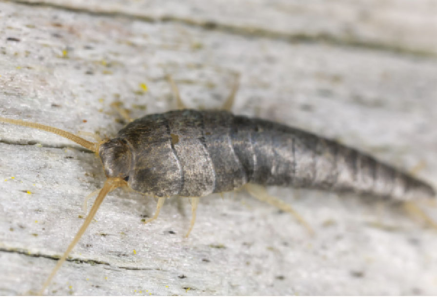 4D 프린터 이미지