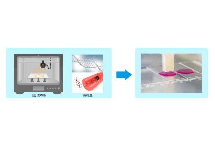 바이오 소재 이미지