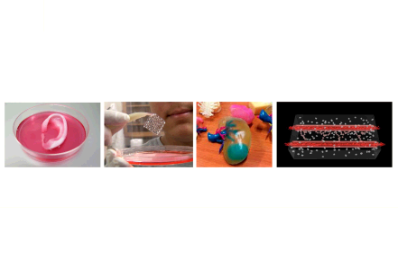 바이오 소재 이미지