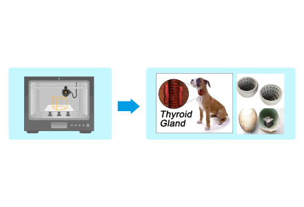 바이오 소재 이미지