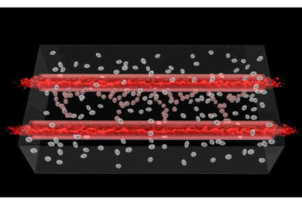 인체이식 이미지