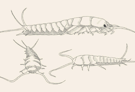4D 프린터 이미지