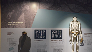 2. 인류는언제 출현 했을까 이미지