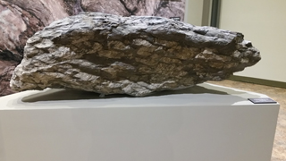 2. 스트로마톨라이트, 가장 오래된 생명체 그리고 산소 이미지