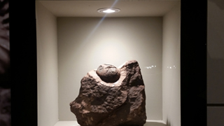 5. 공룡알 화석 이미지