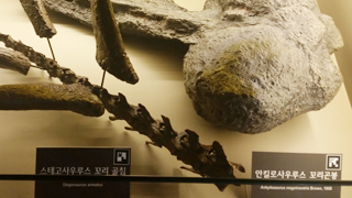 18. 초식 공룡의 방어 - 꼬리 곤봉과 꼬리 가시 이미지