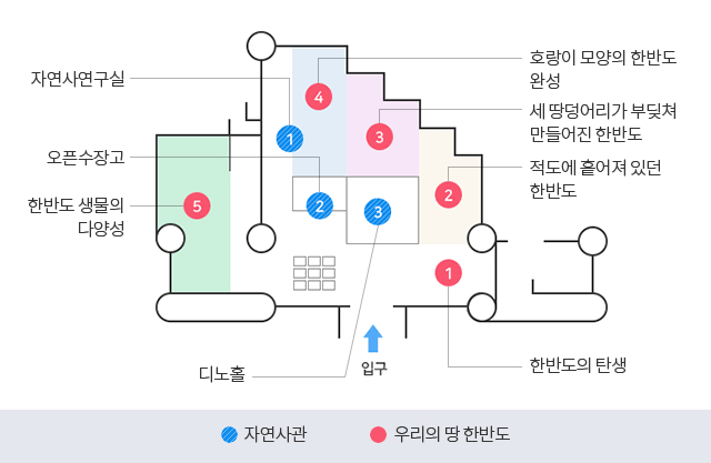 입구 왼쪽 순서로 한반도의 탄생, 그 다음 적도에 흔어져 있던 한반도, 그 다음 세 땅덩어리가 부딪쳐 만들어진 한반도, 그 다음 호랑이 모양의 한반도 완성, 그 다음 자연사 연구실, 그 다음 오픈 수장고, 그 다음 자연탐구실, 그 다음 디노홀 공룡증강현실 체험존, 입구에서 오른쪽으로 한반도 생물의 다양성이 위치해 있음