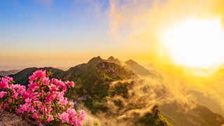 계룡산 국립공원 전경