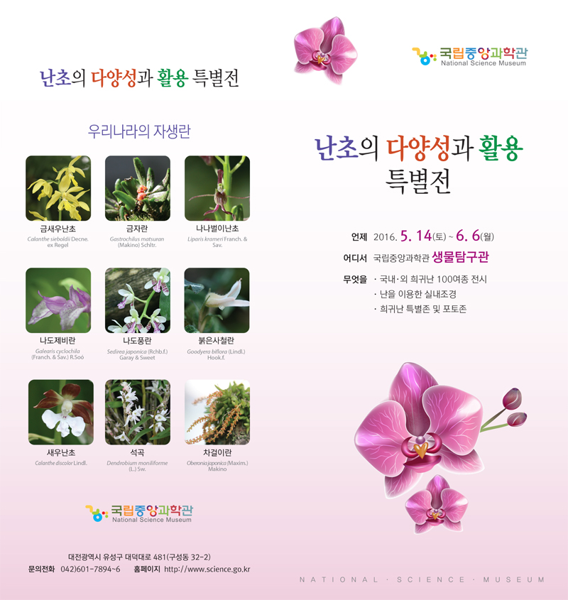 난초의 다양성과 활용 특별전