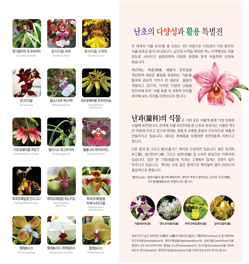 난초의 다양성과 활용 특별전