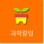 과학칼럼