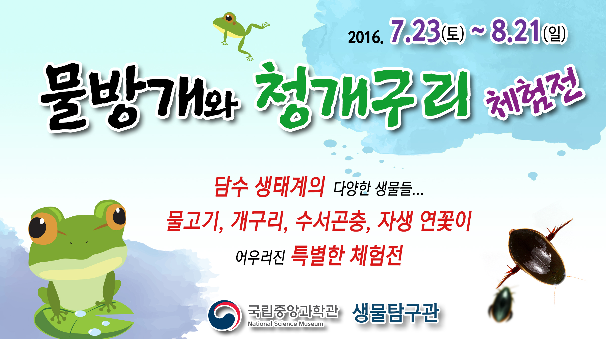 물방개와 청개구리 체험전