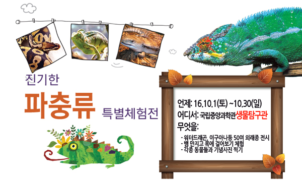 파충류체험전