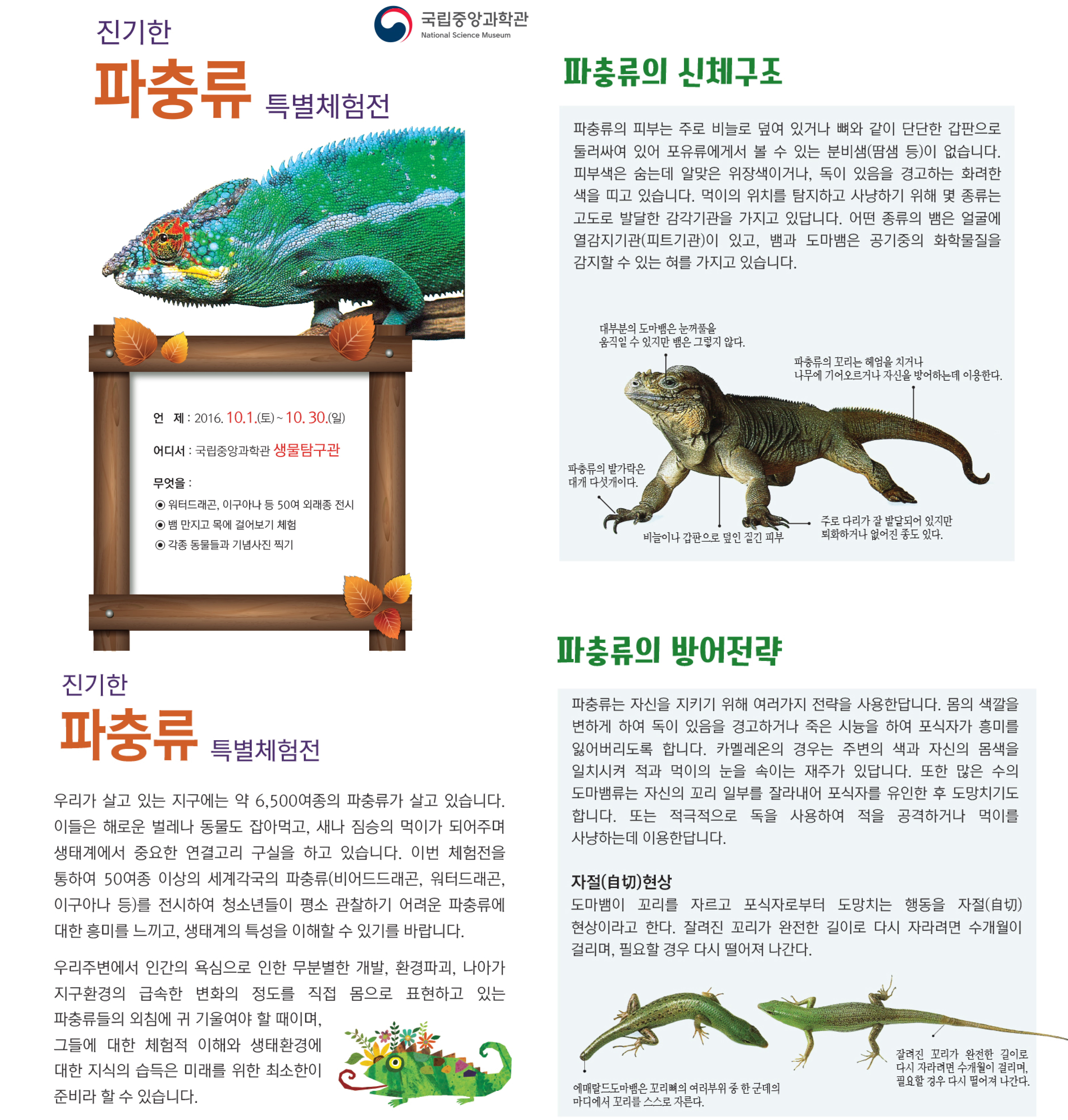 진기한 파충류 체험전