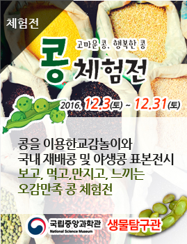 콩체험전