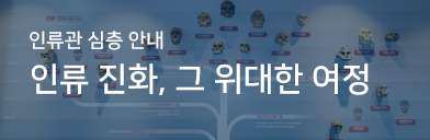 인류관 심층안내 인류진화, 그 위대한 여정