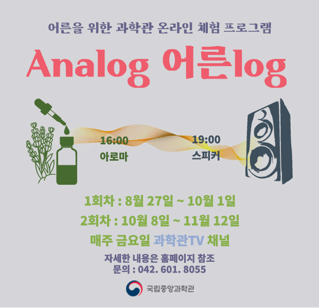 온라인 체험 Analog 어른log