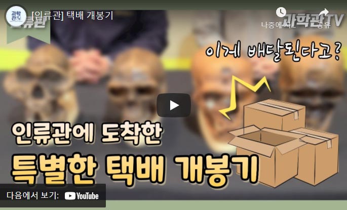 인류관에 도착한 특별한 택배 개봉기