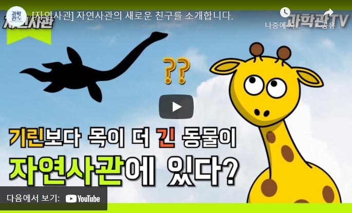 기린보다 목이 더 긴 동물이 자연사관에 있다?