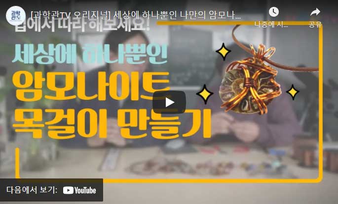 만들어요 과학관 - 암모나이트 목걸이 만들기