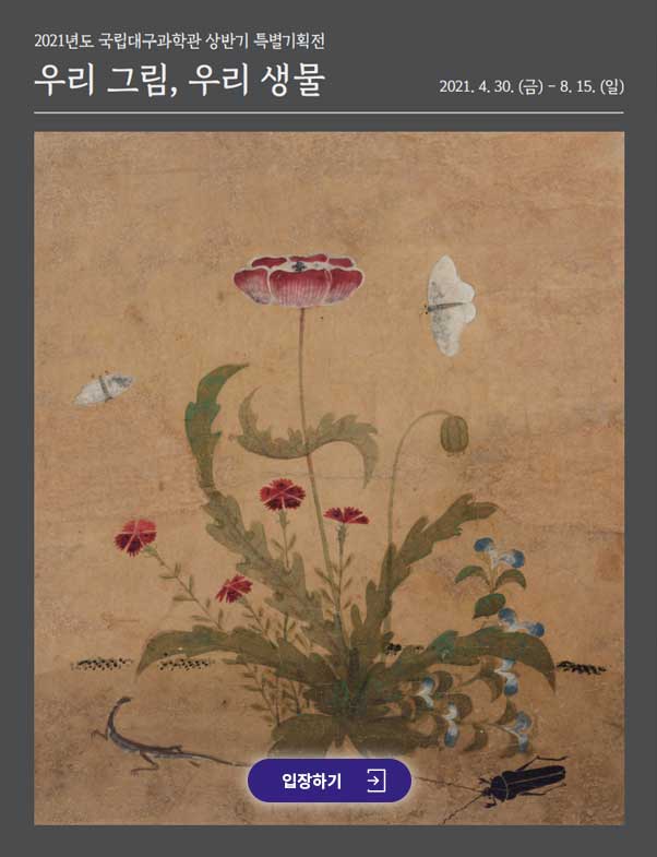 우리그림, 우리 생물