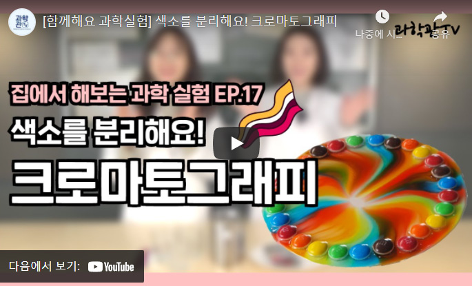 함께해요 과학실험_색소를 분리해요! 크로마토그래피