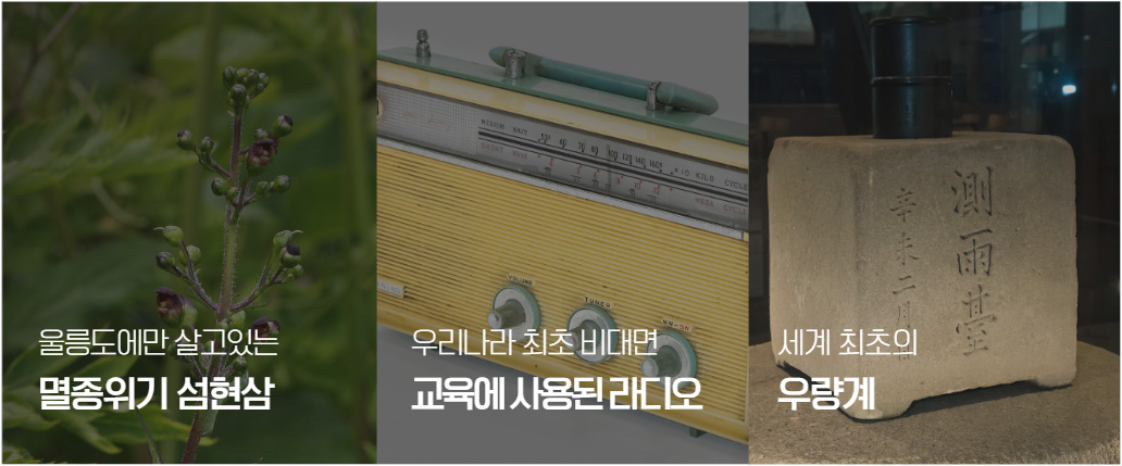 국립중앙과학관 자료실 소장품스토리