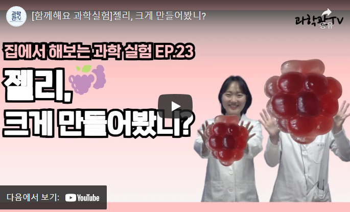 함께해요 과학실험 젤리, 크게 만들어봤니