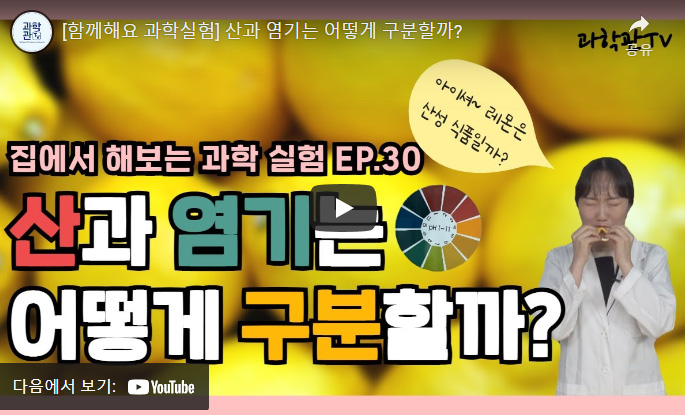 함께해요 과학실험 산과 염기는 어떻게 구분할까