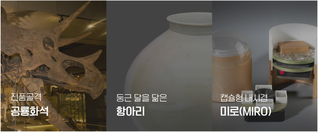 국립중앙과학관 자료실 소장품스토리