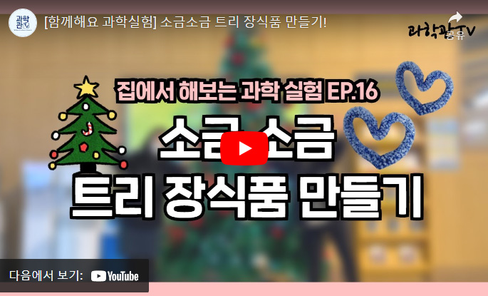 함께해요 과학실험 트리 장식품 만들기