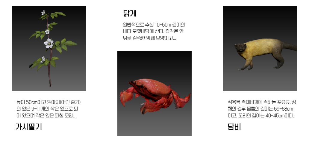 3D프린팅데이터-한반도희귀생물