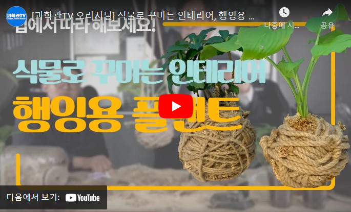 만들어요 과학관 행잉용 플랜트 만들기